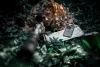 Tactical Quantum Stealth tok, Apple iPhone Air - átlátszó- fekete