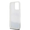 DKNY Liquid Glitter Arch Logo tok iPhone 15 Pro Max készülékhez átlátszó